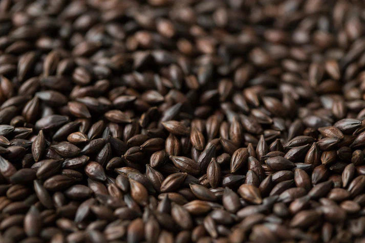 Dark Chocolate Malt