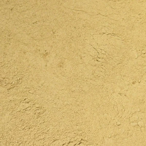 Ginger Beer Yeast