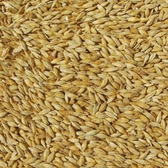 Pale Malt (Barrett Burston) 1kg