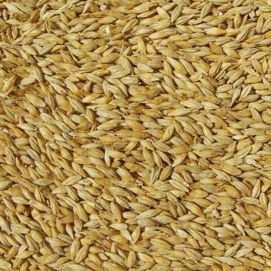 Pale Malt (Barrett Burston) 1kg