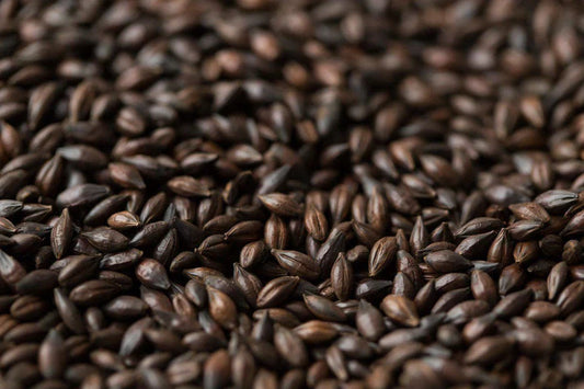 Dark Chocolate Malt