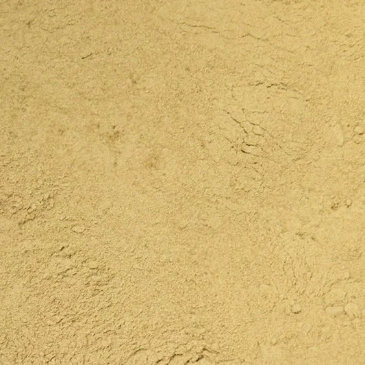 Ginger Beer Yeast