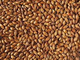 Dark Crystal Malt