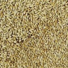 Vienna Malt  25kg