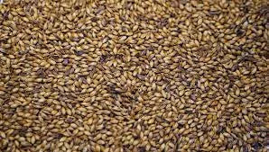 Crystal Malt (120-150)