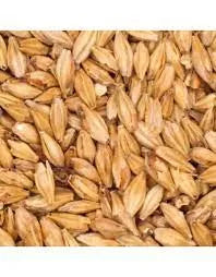Honey Malt (Gambrinus)