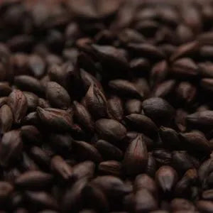 Light Chocolate Malt (Mallokup)
