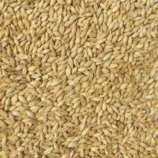 Munich (Mallokup Malt)
