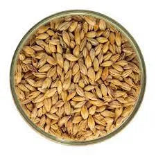 Biscuit Malt (Mallokup)