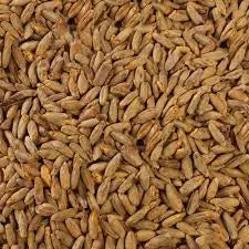 Rye Malt (Gladfield)