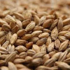 Vienna Malt (Mallokup Malt)