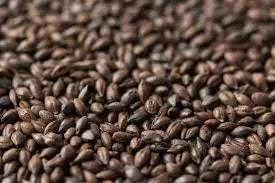 Carafa Special 1