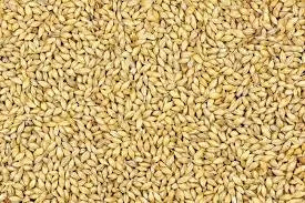 Maris Otter (Simpsons) 25kg